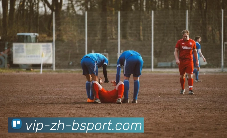 多媒体互动体验